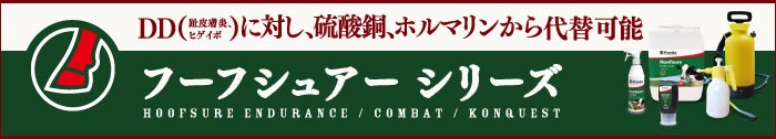 フーフシュアー・エンデュランス